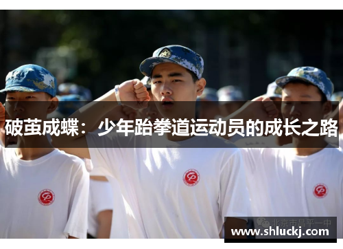 破茧成蝶：少年跆拳道运动员的成长之路